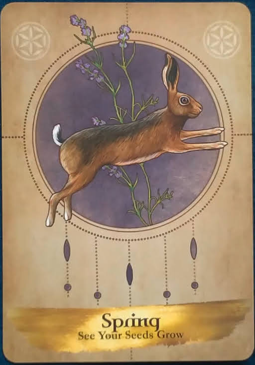 Angels and Ancestors Oracle Cards